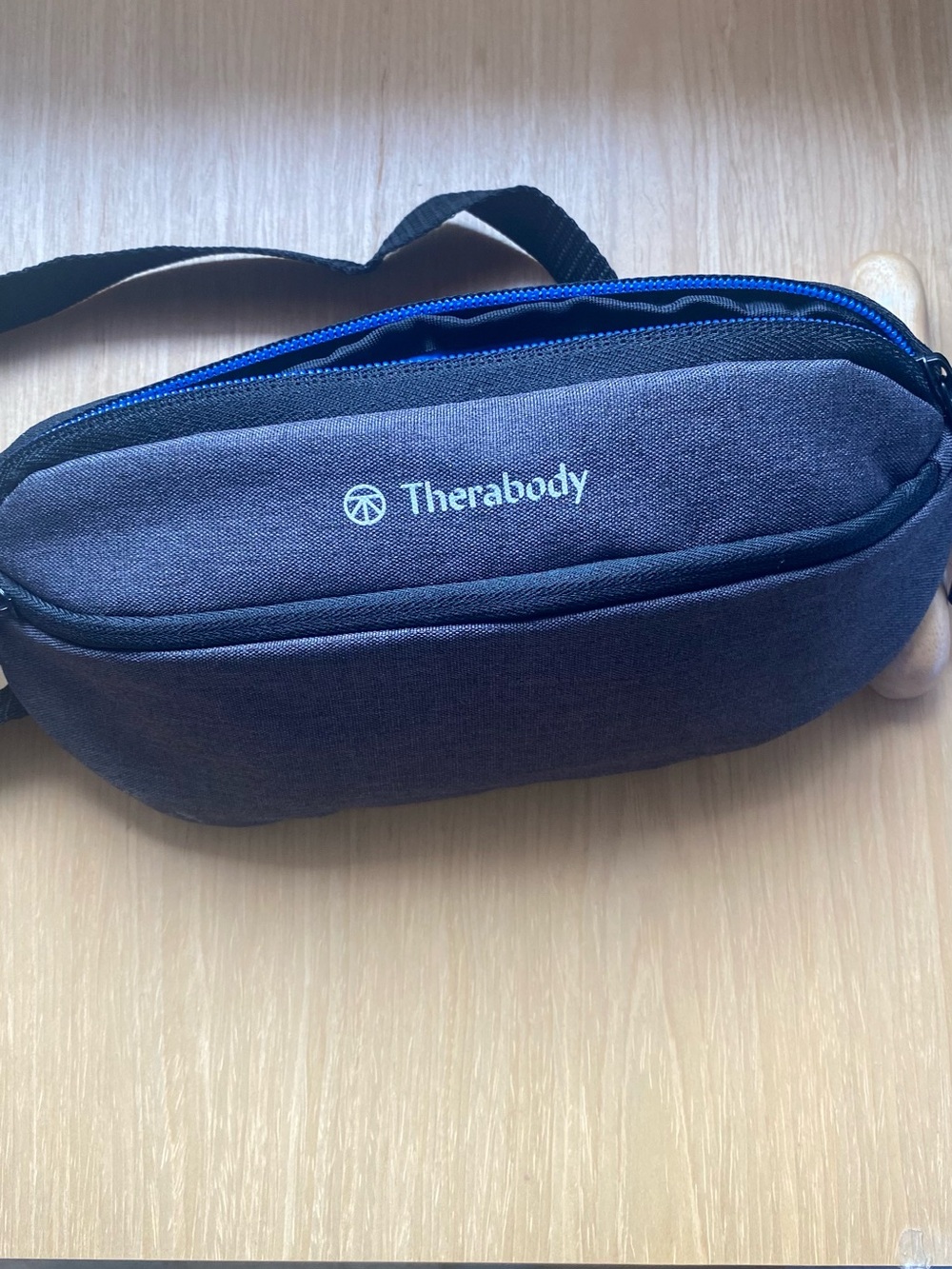 Therabody Navy and Blue Belt Bag for Men